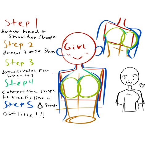 boobs drawing|How to Draw Breasts